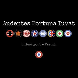 Fortune Favors the Bold, Unless You&#39;re French - Axis and Allies Europe, Pacific, Global 1940 (Latin Version) - FREE SHIPPING!
