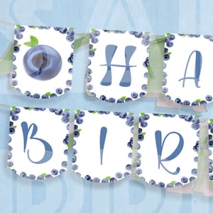 Berry First Birthday Blueberry Banner | Happy Birthday Banner | Berry First Banner | Blueberry Banner | Prop Birthday Decoration | BB01