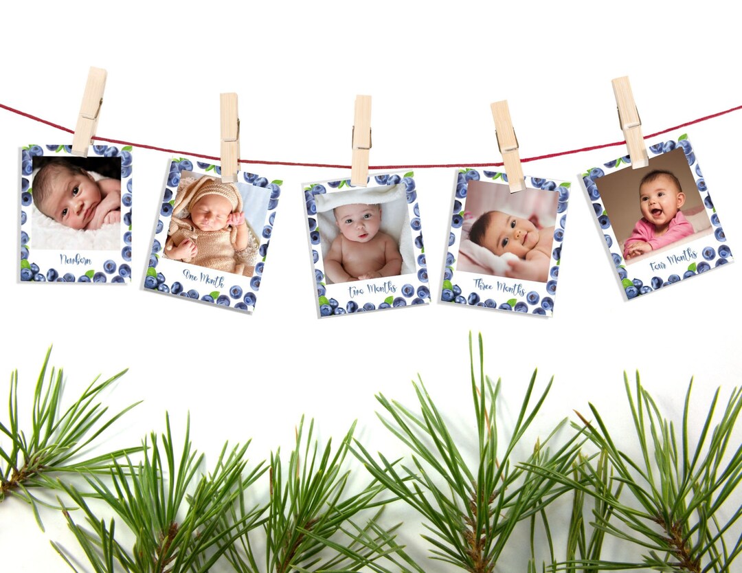 First Birthday Photo Banner Template, Editable Baby 1st Year Monthly ...