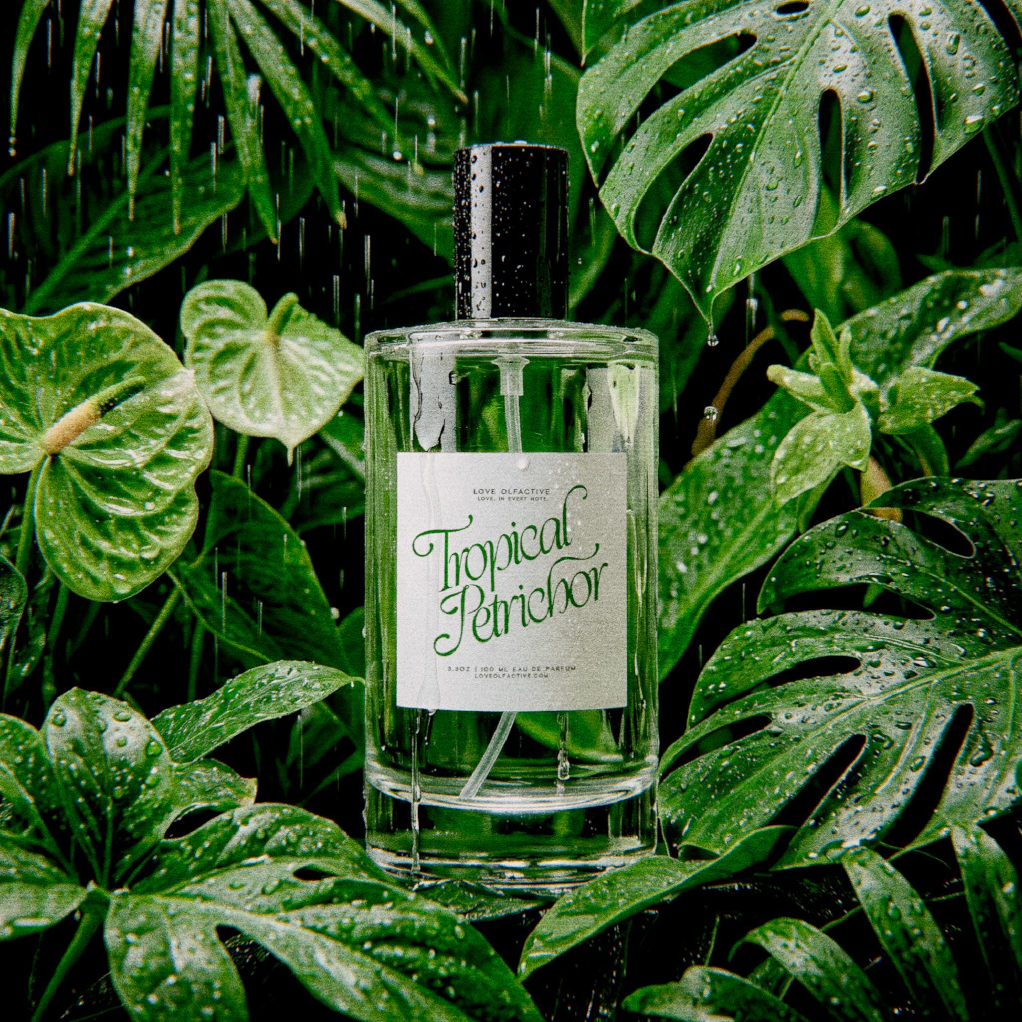 Tropical Petrichor (ozone, Rain-soaked Soil, Island Florals) - Eau