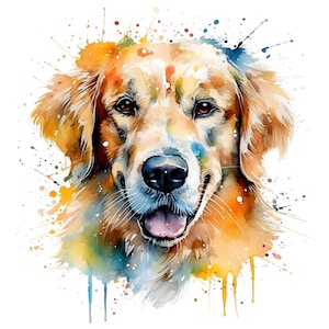 Golden Retriever 15 / Ritratto ad acquerello / Cane / PNG JPG / Download digitale / Clip Art / Creazione di cartoline / Supporti misti / Creazioni con carta digitale