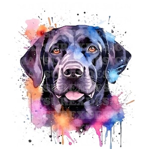 Black Lab 3 | Aquarell Portrait | Hund | PNG JPG | Digitaler Download | Clip-Kunst Kartengestaltung | Mischtechnik | Digitales Papiermodell