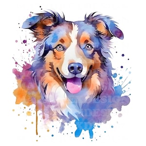 Australian Shepherd 3 | Beautiful Watercolor Portrait | Tri Color Dog | PNG JPG | Digital Download | Clip Art | Card Making | Mixed Media