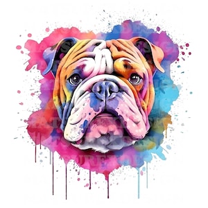 Bulldog 1 | Beautiful Watercolor Portrait Flowers | PNG JPG | Digital Download | Clip Art | Paper Craft | Mixed Media | White Brown