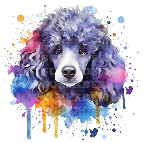 Poodle 6 | Beautiful Watercolor Portrait | PNG JPG | Digital Download | Clip Art | Paper Craft | Mixed Media | Black and White Dog