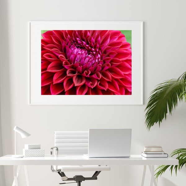 Spring Wall Art Red Dahlia Digital Print Floral Decor Red Dahlia Flower Printable Gift for Her Girl Bedroom Nature Lover Gift Floral Decor