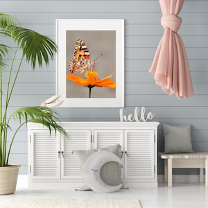 Arte de parede de borboleta para impressão, decoração floral, flor de equinácea laranja para quarto de criança, presente de dia das mães, impressão floral, design de cartão de notas, decoração de primavera