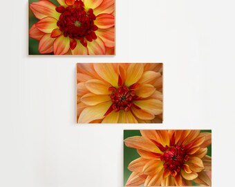 Spring Flower Wall Art Printable Set of 3 Floral Decor for Girl Room Botanical Digital Art Orange Dahlia Floral Art Notecard Design