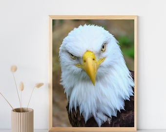 Bald Eagle Portrait Print: American Patriotic Wall Art (Digital Download)