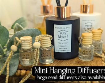 Car Perfume Mini Hanging Diffuser