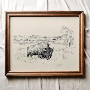 Op de afbeelding: Een zwart-witte pentekening in een lijst van een bizon in een grasveld. Het kunstwerk is geplaatst tegen een landschap met glooiende heuvels en een boom. De lijst is van donker hout.