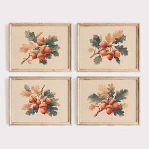May include: Set of four framed prints featuring watercolor illustrations of acorns and oak leaves. The artwork showcases acorns in shades of orange and brown, with green and tan leaves, set against a cream background.