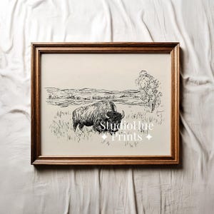 K&ouml;nnte beinhalten: Ein gerahmter Schwarz-Wei&szlig;-Druck eines Bisons auf einem Feld. Das Kunstwerk ist eine Feder- und Tinte-Zeichnung mit einem Landschaftshintergrund. Der Rahmen ist dunkelbraun und der Druck tr&auml;gt den Text "StudioHue Prints".