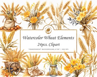 Watercolor Wheat Clipart: Farm Landscape, Summer Flowers (PNG SVG)