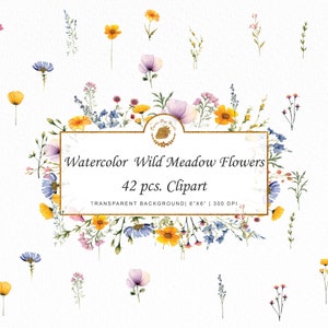 Magical Meadow Wildflower Watercolor Clipart Bouquet Digital Rustic PNG Clipart Bundle svg Watercolor Wildflowers Botanical graphics