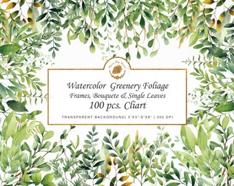 Watercolor Foliage Clipart: Green Leaves, Wreath, Vine (PNG, SVG)