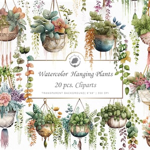 Aquarel hangende plant clipart macrame planter clipart bloemen boho esthetische aquarel clipart png SVG bundel aquarel graphics
