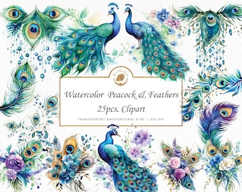 May include: Watercolor clipart set featuring 25 images of peacocks and feathers. The peacocks are blue, green, and gold with intricate details. The feathers are a variety of colors, including blue, green, gold, and purple. The images are on a transparent background.