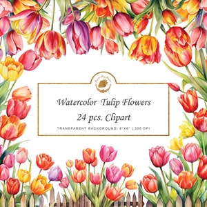 Aquarell Tulpe Blume Clipart Aquarell Blumen PNG Bunte Tulpe Blume Aquarell Clipart Floral Art Bundle Grafiken digitale SVG