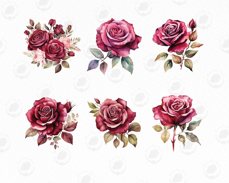 Watercolor Burgandy Rose PNG Watercolor Rose Clipart Bouquets Flower ...