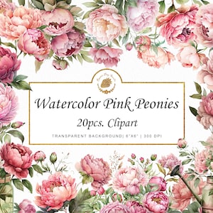 Aquarell Pfingstrosen Clipart Rosa Pfingstrosen Clipart Bundle Floral PNG Hochzeit Shabby Chic Blumengrafiken SVG Gartenrahmen Canva Goodnotes