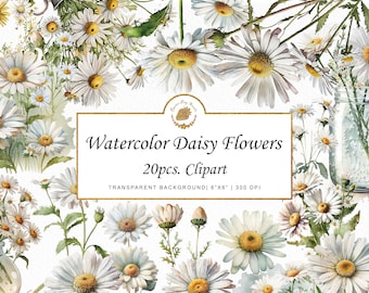 Watercolor Daisy Clipart: Floral PNG Bundle (Digital Download)