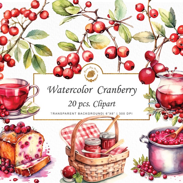 Watercolor Cranberry Clipart Fall Clipart cranberries svg Autumn watercolor Thanksgiving clipart png clipart bundle watercolor graphics