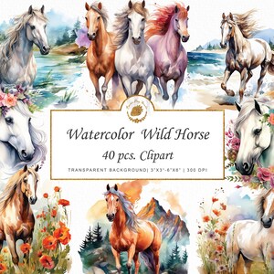 Watercolor Horses Watercolor Clipart Wild Magical Enchanting Horse Illustrations Animals PNG SVG Instant Digital Download graphics printable