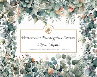 Bundle de cliparts de feuilles d'eucalyptus aquarelle Illustrations de mariage élégantes et botaniques Svg Graphismes clipart d'art d'invitation d'eucalyptus