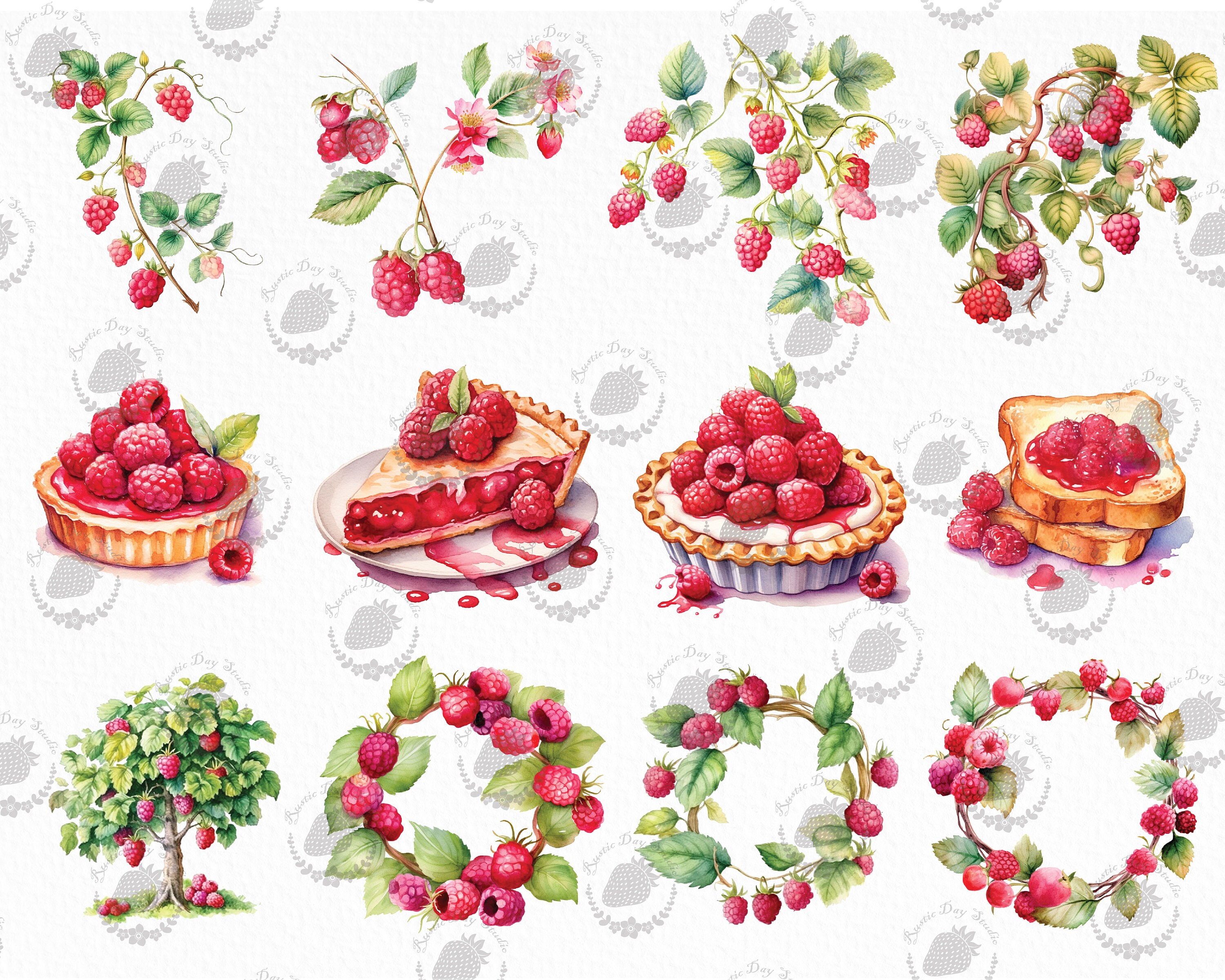 Watercolor Raspberry Clipart Watercolor Clipart Bundle Digital Art ...