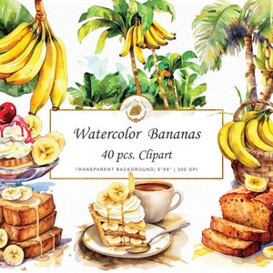 Banane tropicale aquarelle Bundle de cliparts banane aquarelle Illustrations de fruits juteux et exquis Art de fruits tropicaux Graphiques numériques svg