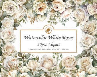 Watercolor White Roses Clipart: Shabby Chic Wedding Floral (PNG, SVG)