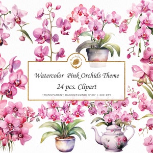 Aquarel roze orchideeën clipart elegante orchidee clipart bundel ikebana bloemen sticker PNG bruiloft orchidee boeket clipart bundel graphics SVG