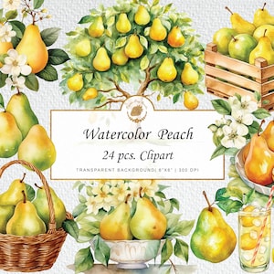 Acquerello pera Clipart pera arredamento Clipart pera albero clipart cesto di frutta acquerello clipart png svg bundle grafica pittura ad acquerello