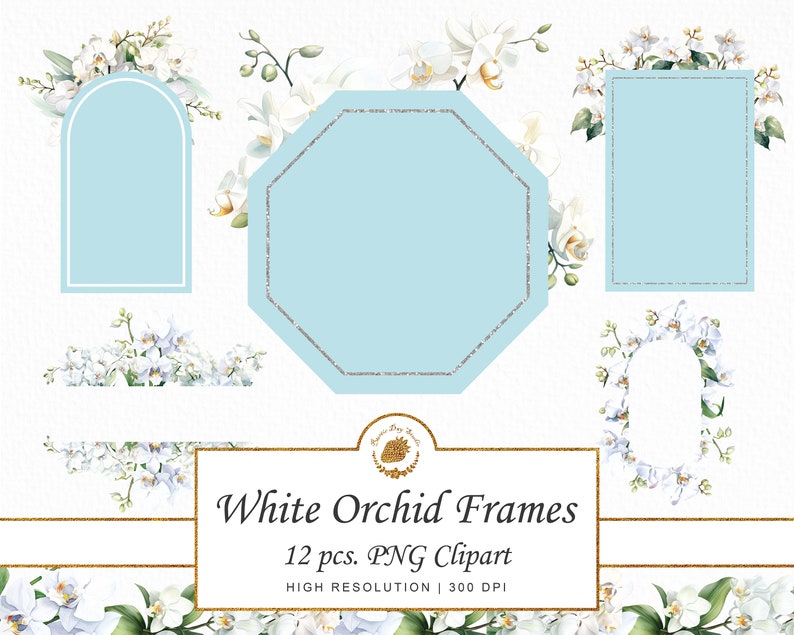 Watercolor Orchid Frames: Floral Clipart PNG SVG (digital Download) - Etsy