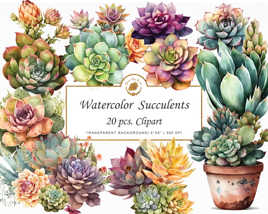 Watercolor Succulent Clipart: Boho Cactus PNG Bundle (digital) - Etsy