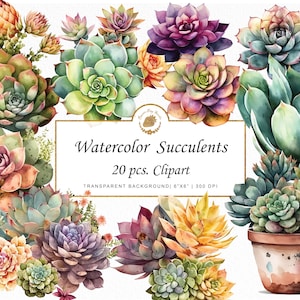 Acuarela Suculenta Clipart Boho cactus PNG Paquete Cactus clipart revista basura gráficos digitales jardín clipart png pegatina goodnotes svg