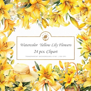Aquarel gele lelie clipart aquarel lelie PNG gele boeketten lelies aquarel bloem clipart svg clipart bundel aquarel graphics