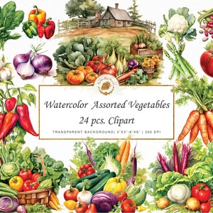 Watercolor Vegetable Clipart Assorted Vegetable Clipart Farm clipart sticker watercolor clipart vegetable png clipart bundle graphics  svg