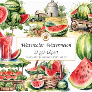 Watercolor Watermelon Clipart Summer Watercolor PNG Watermelon Patch Watercolor Clipart Summer Fruit Art Bundle Clipart summer graphics  svg