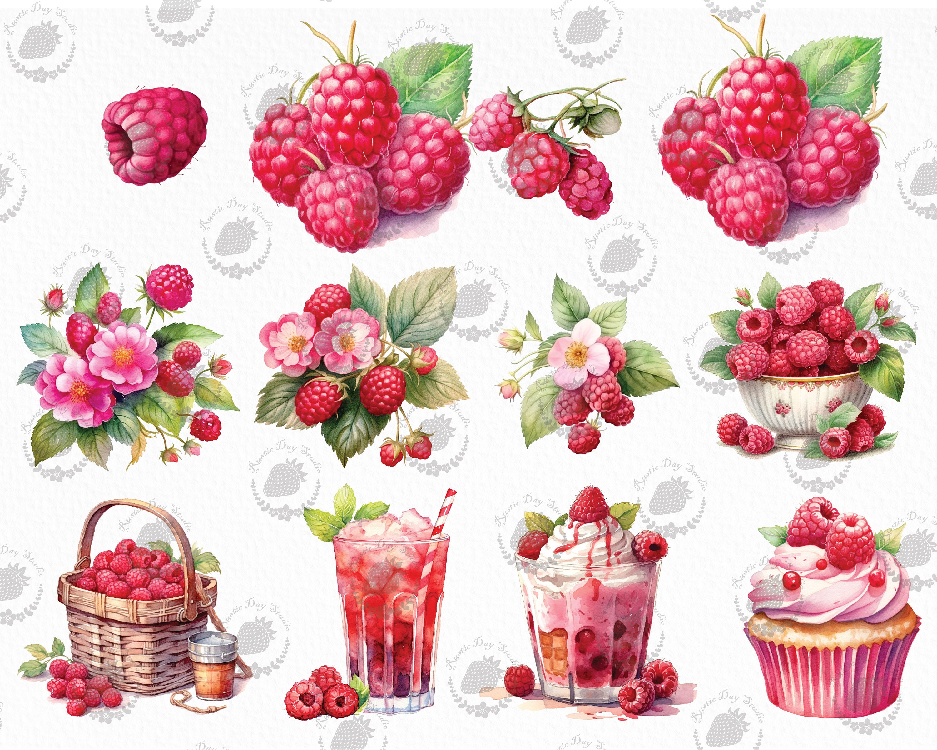 Watercolor Raspberry Clipart Watercolor Clipart Bundle Digital Art ...