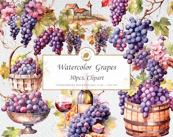 Watercolor Wine Grapes Clipart: Vineyard PNG Bundle (30 Images)
