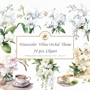 Watercolor White Orchid Clipart Elegant Orchid Clipart Bundle ikebana Floral Sticker PNG Wedding Orchid Bouquet Clipart Bundle graphics  svg