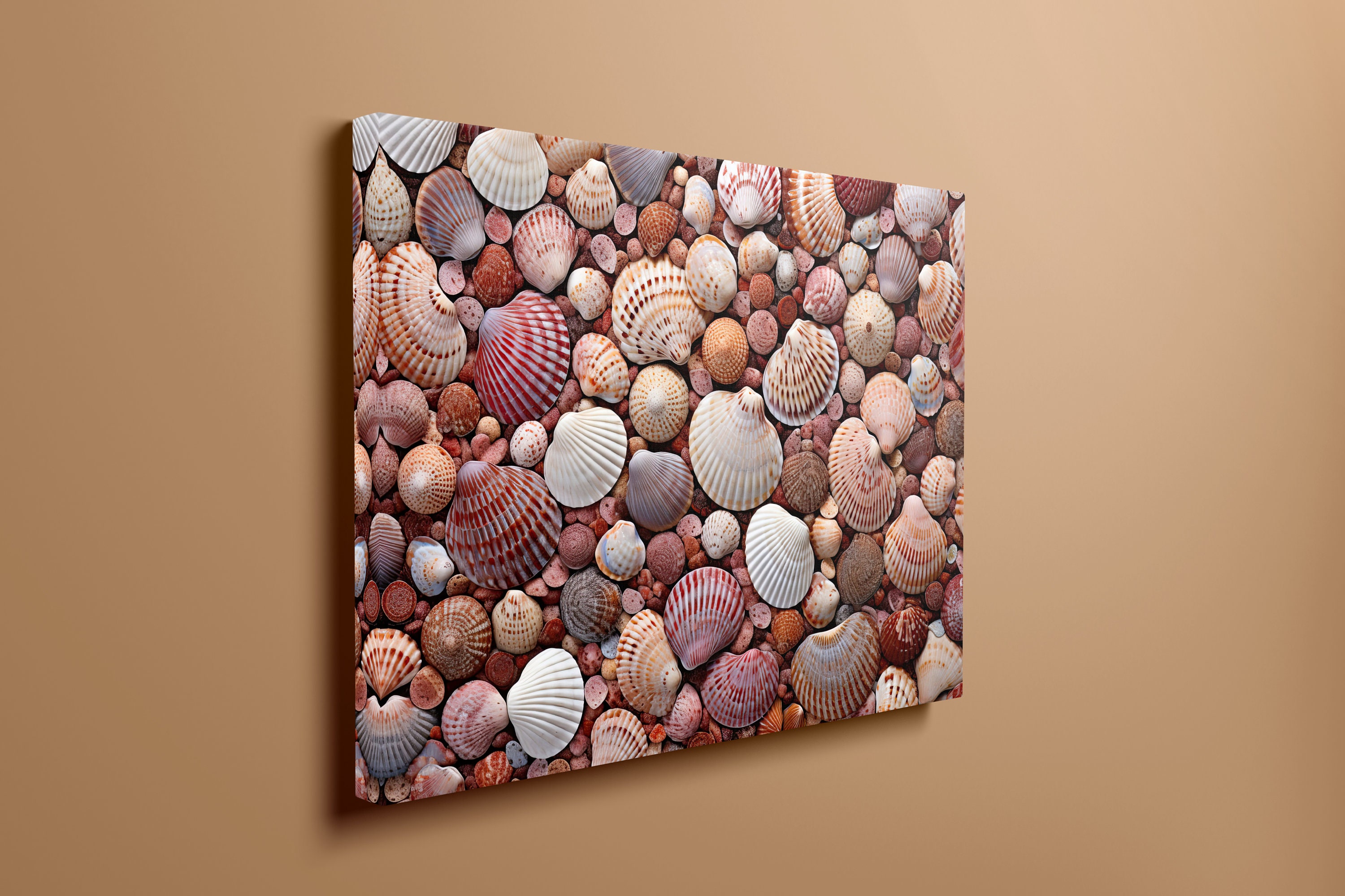 Nature's Mosaic: the Sea Shell Collection Canvas Print Wall Art Home ...