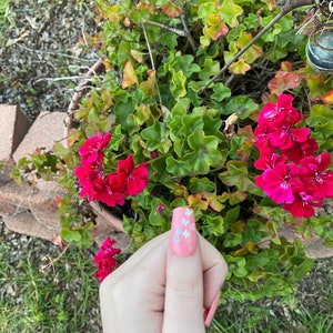 Op de afbeelding: Een hand met roze nagellak en witte glitter vlinder accenten. De hand is voor een potplant met roze bloemen.