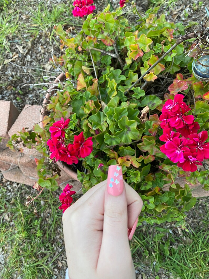 Op de afbeelding: Een hand met roze nagellak en witte glitter vlinder accenten. De hand is voor een potplant met roze bloemen.