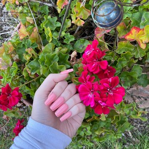 Op de afbeelding: Een hand met lange, lichtroze nagels tegen een achtergrond van groene bladeren en felroze bloemen.