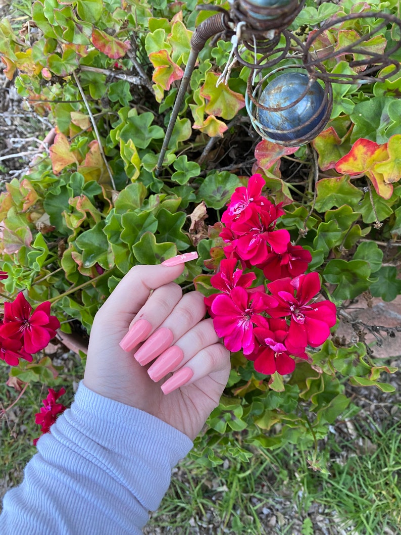 Op de afbeelding: Een hand met lange, lichtroze nagels tegen een achtergrond van groene bladeren en felroze bloemen.
