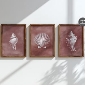 May include: Three framed prints with detailed illustrations of seashells. Each print has a wooden frame and a muted red-brown background. The seashells are depicted in white, showcasing intricate textures and shapes, ideal for coastal decor.