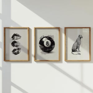 May include: Three framed prints with a neutral background. One print features three sets of black and white lips. Another shows a black and white eight ball with the text "LUCKY ME". The third print is a black and white leopard.